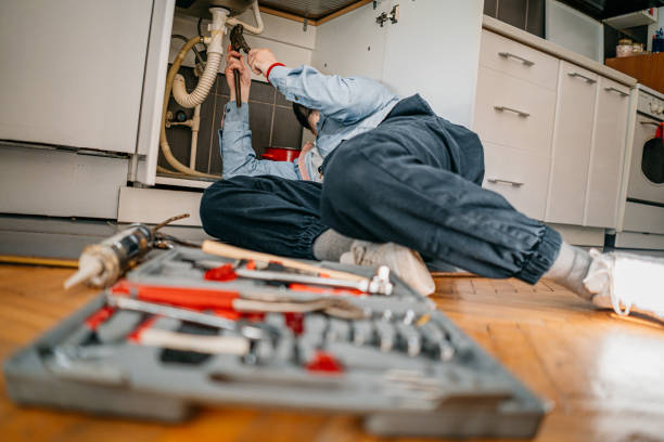Best Clogged Drain Plumber  in Wyoming, MN
