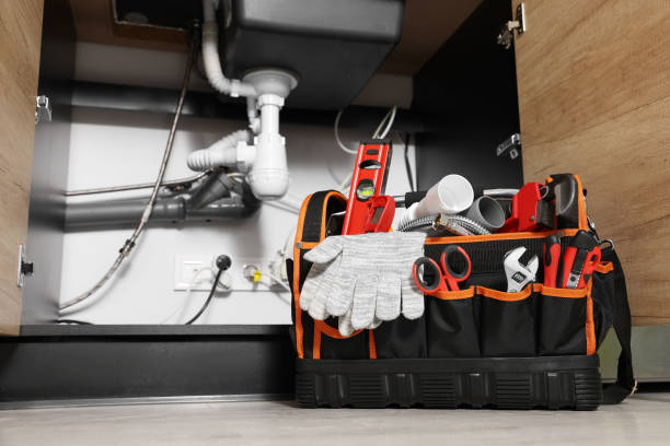 Best Clogged Drain Plumber  in Wyoming, MN