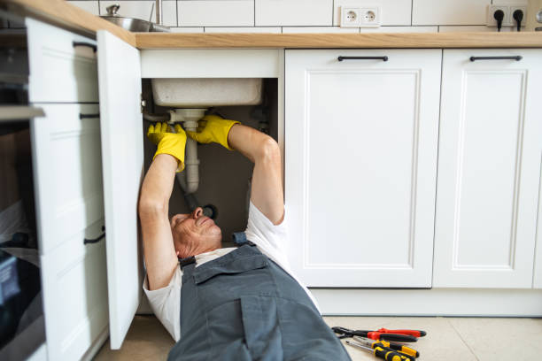Best Plumbing Repair Near Me  in Wyoming, MN
