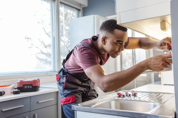 Best Local Plumber Services  in Wyoming, MN